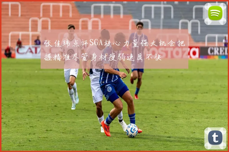 张佳玮点评SGA核心力量强大机会把握精准尽管身材瘦弱速度不快